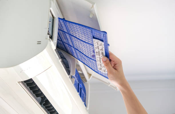 Best Affordable Duct Cleaning Services  in Roxboro, NC